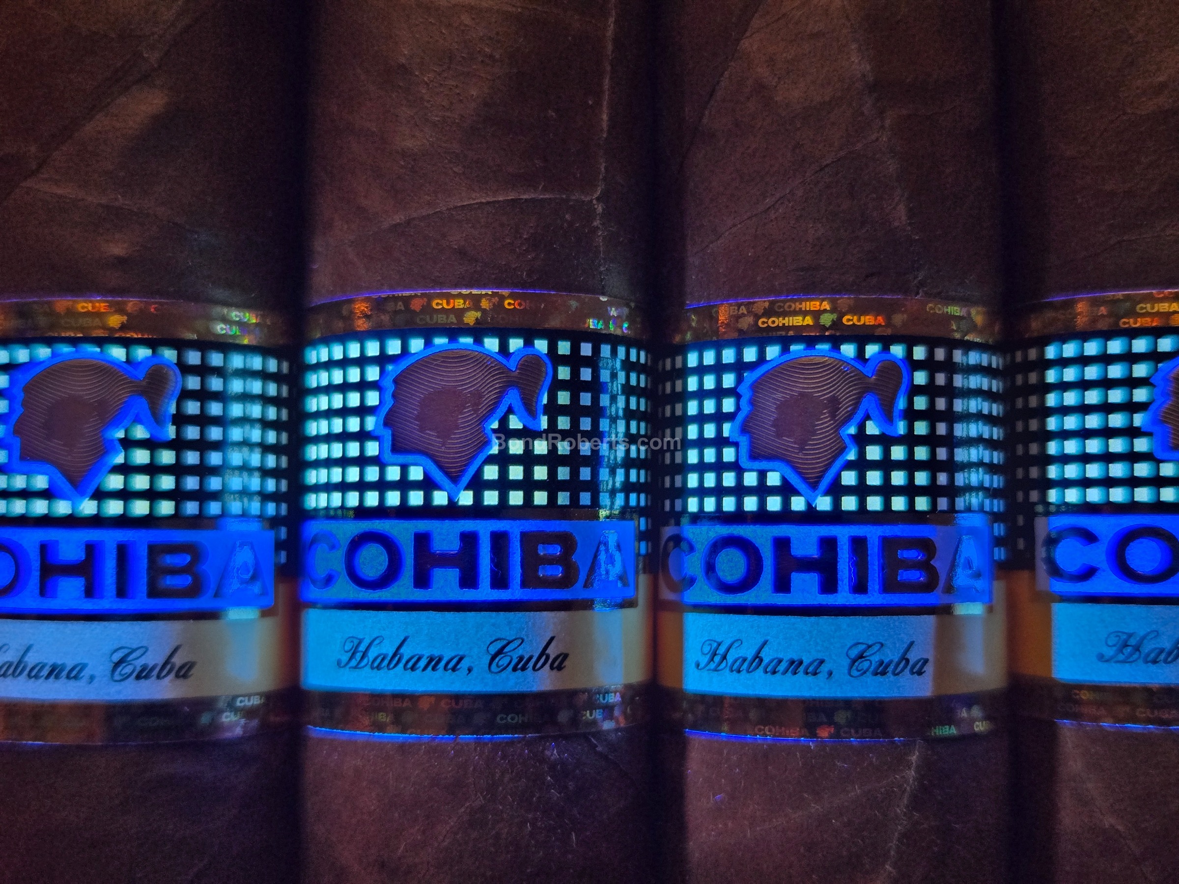 Cohiba Ambar 2024 | Bond Roberts
